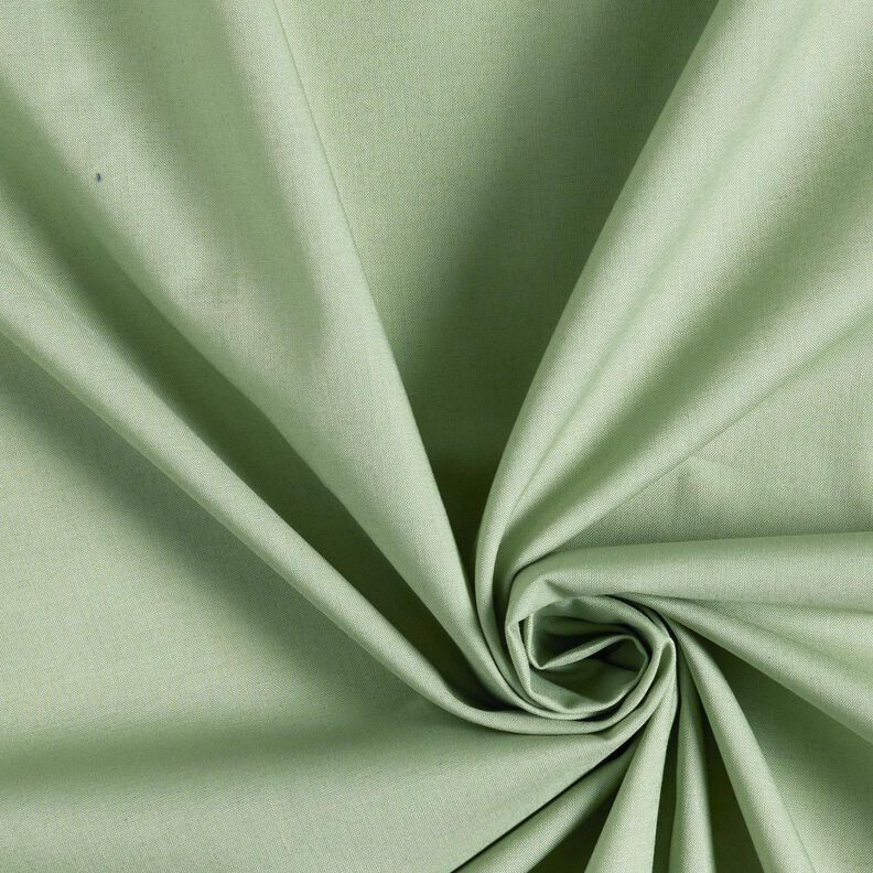 Cotton Poplin Plain – reed,  image number 1