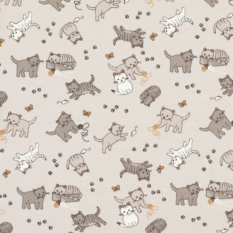 Cotton Jersey cute cats – misty grey,  image number 1