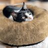 Faux Fur Abstract – sand,  thumbnail number 5