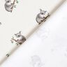 GOTS Cotton Jersey Koala Digital Print – ivory,  thumbnail number 4