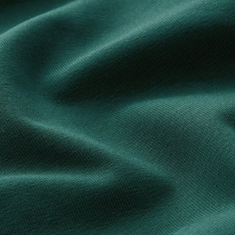 Medium Cotton Jersey Plain – blue spruce, image number 4