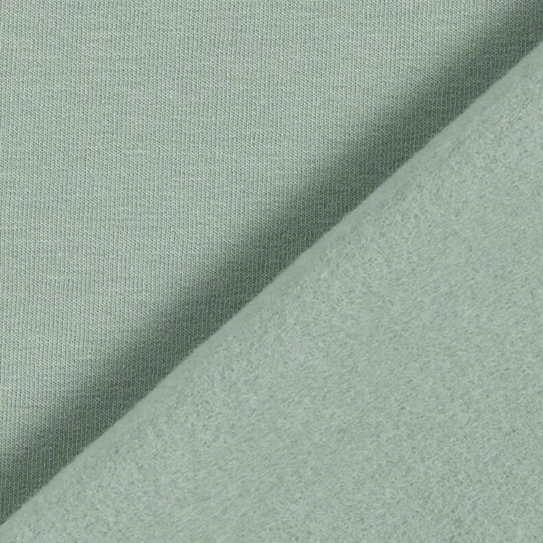 Light Cotton Sweatshirt Fabric Plain – reed,  image number 5