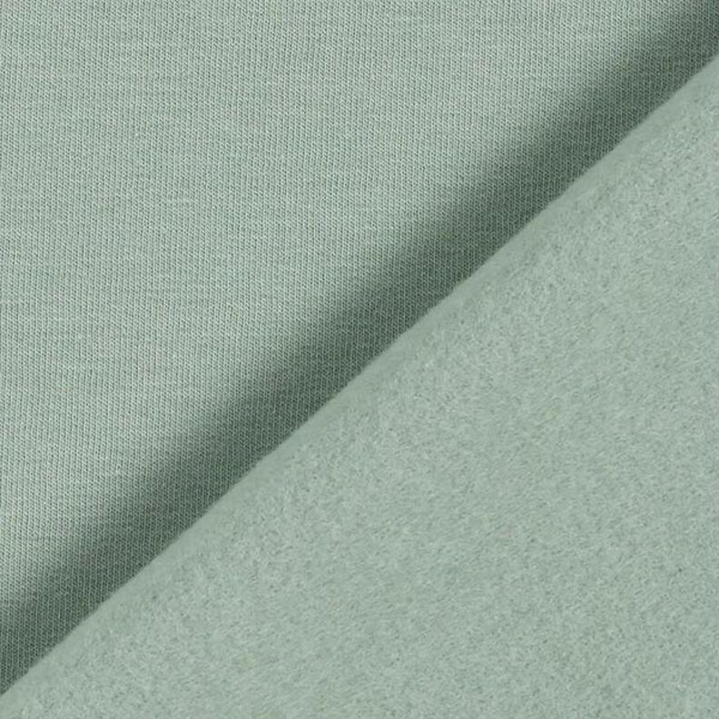 Light Cotton Sweatshirt Fabric Plain – reed, image number 5