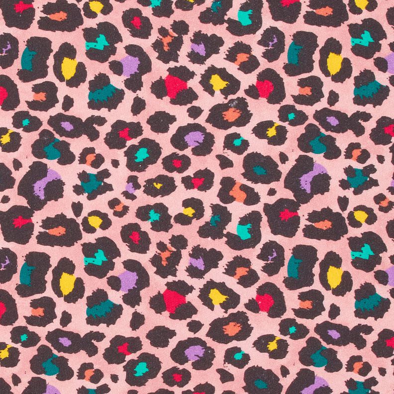 Brushed Sweatshirt Fabric Colourful Leopard Print – pink,  image number 1