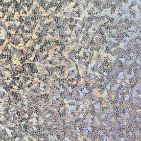 Snake Foil 11, 