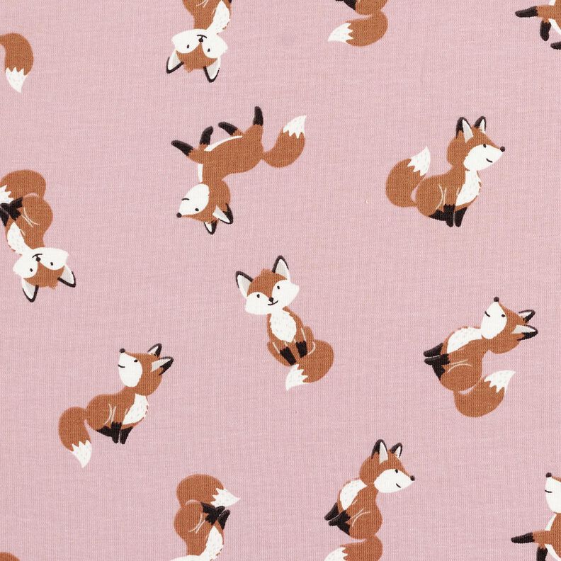 Cotton Jersey sweet foxes – light dusky pink,  image number 1