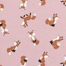 Cotton Jersey sweet foxes – light dusky pink,  thumbnail number 1