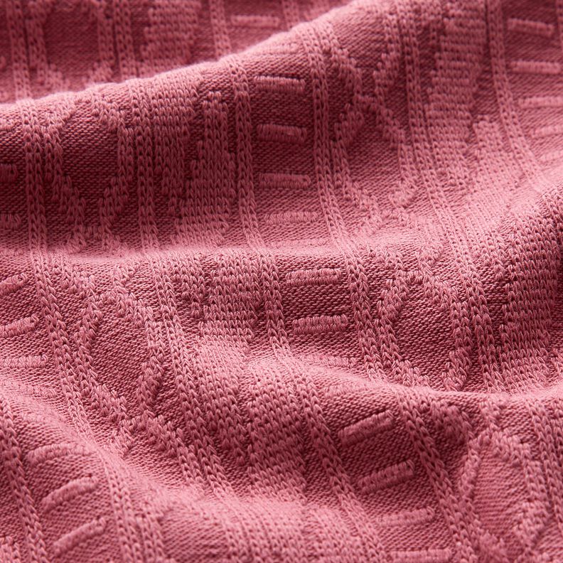 Jacquard Jersey decorated stripes cotton blend – hollyhock,  image number 2