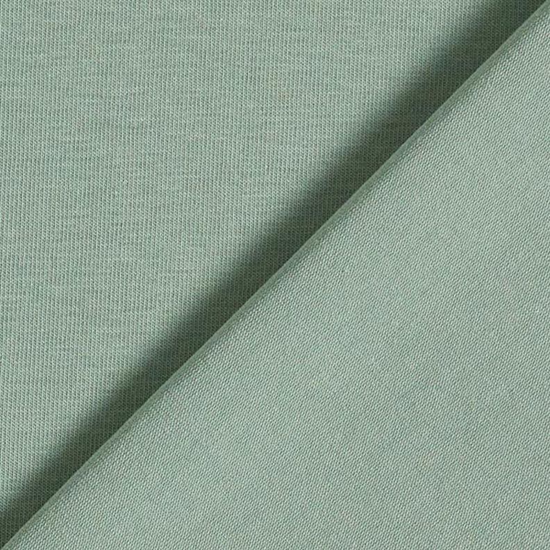 GOTS Cotton Jersey | Tula – reed,  image number 3