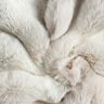 Faux Fur Long hair with colour gradient &ndash; silver grey,  thumbnail number 3
