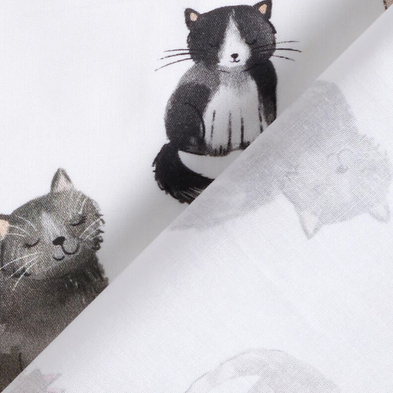 Cotton Poplin happy cats Digital Print | Poppy Fabrics – white,  image number 4