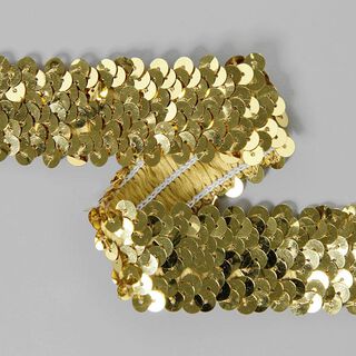 Elasticated Sequinned Trimming 2, 