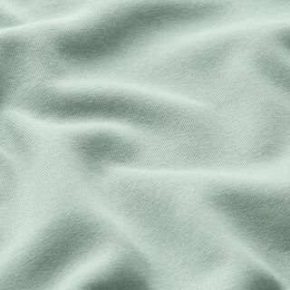 Brushed Sweatshirt Fabric plain Lurex – reed/silver, 