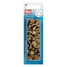 Color métallique Snaps Star Press Fasteners 2 - gold metallic| Prym,  thumbnail number 2