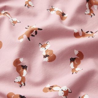 Cotton Jersey sweet foxes – light dusky pink, 