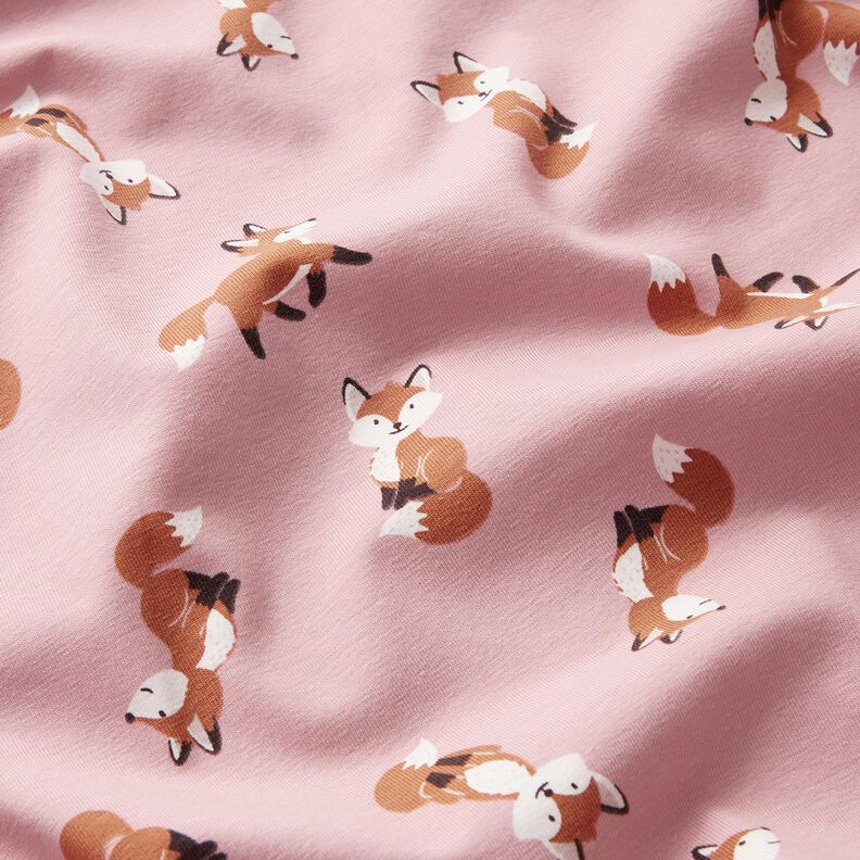 Cotton Jersey sweet foxes – light dusky pink,  image number 2