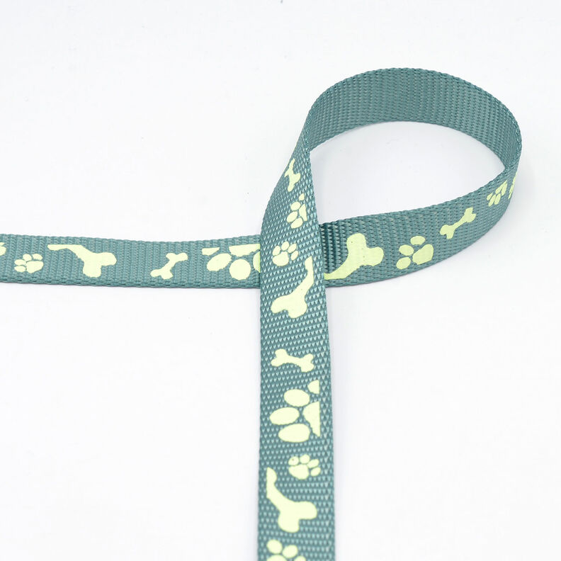 Reflective woven tape Dog leash [20 mm]  – sage,  image number 2