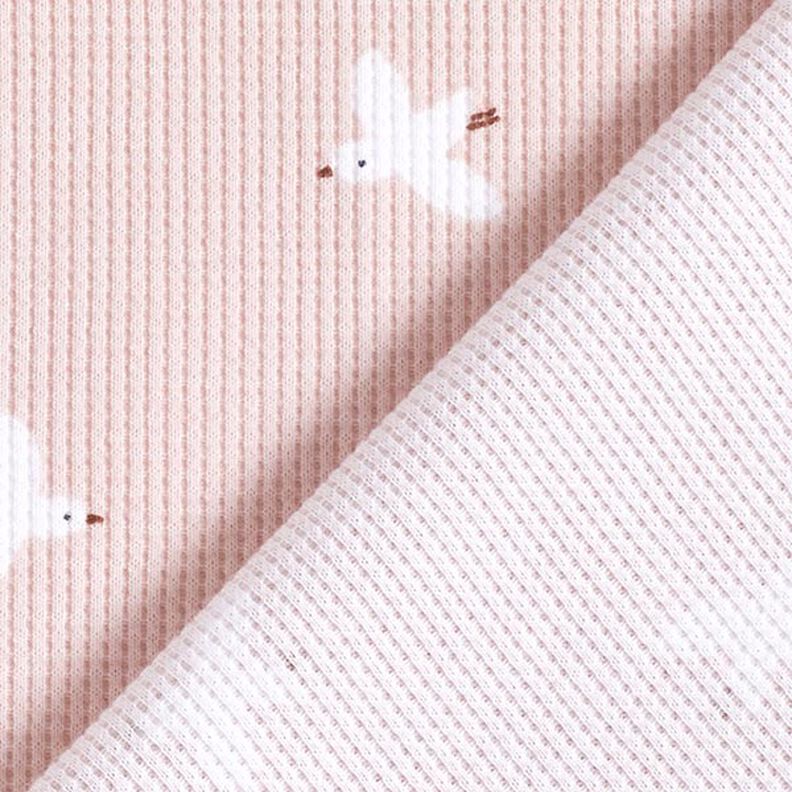 Waffle Jersey Birds | by Poppy – rosé, image number 5