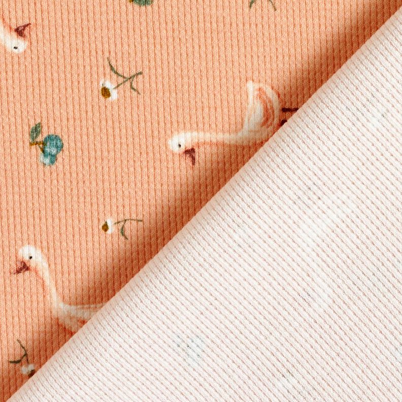 Waffle Jersey Geese and flowers – salmon, image number 4