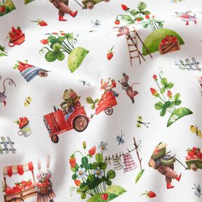 Cotton Poplin Strawberry harvest Digital Print – white, 