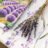 Decor Fabric Half Panama lavender field – ivory/mauve,  thumbnail number 6