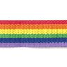Multicoloured Belt Webbing [40mm],  thumbnail number 1