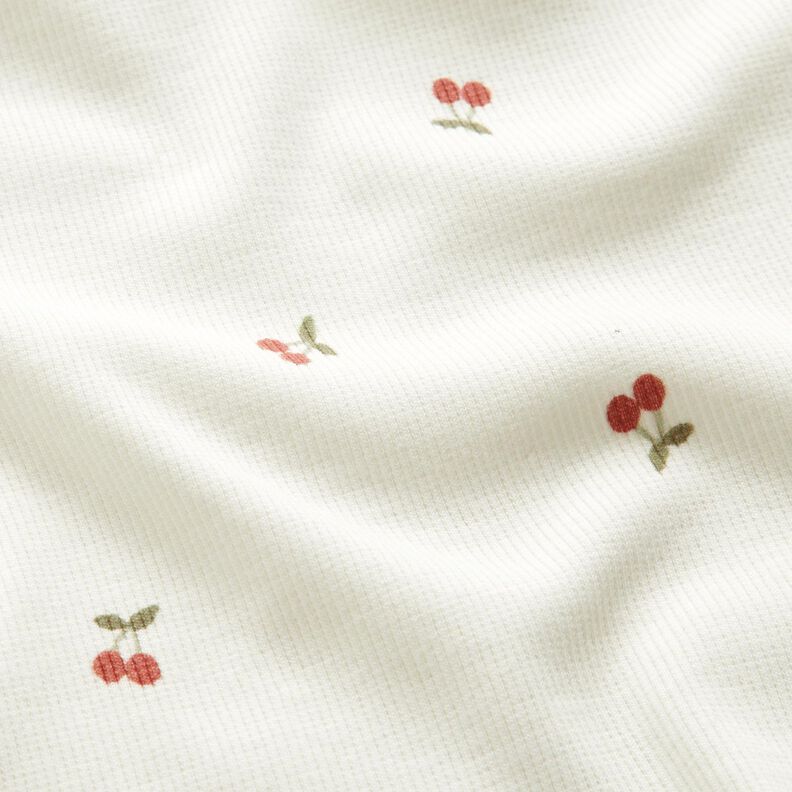 Ribbed Jersey little cherries – offwhite,  image number 2