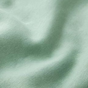 Brushed Sweatshirt Fabric – reed, 