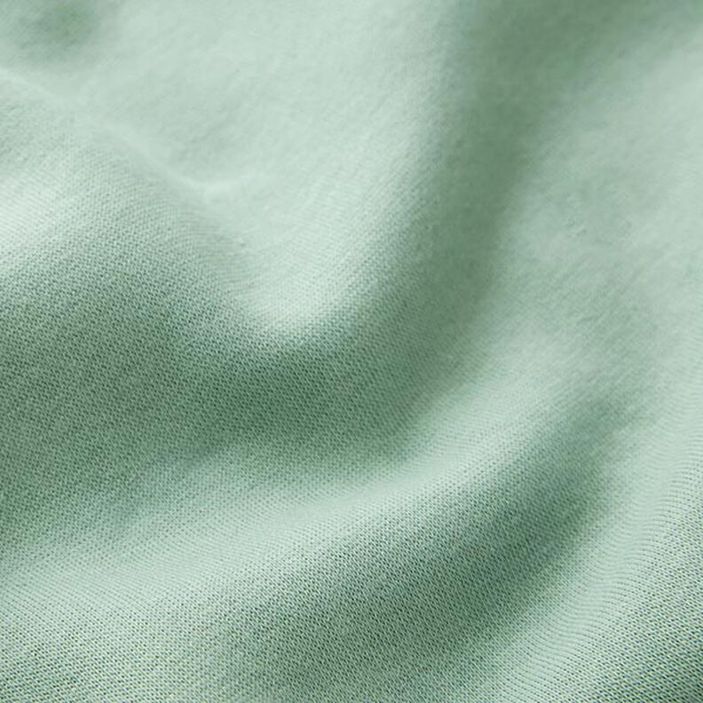 Brushed Sweatshirt Fabric – reed,  image number 3