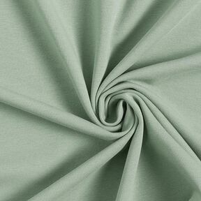 Light Cotton Sweatshirt Fabric Plain – reed, 