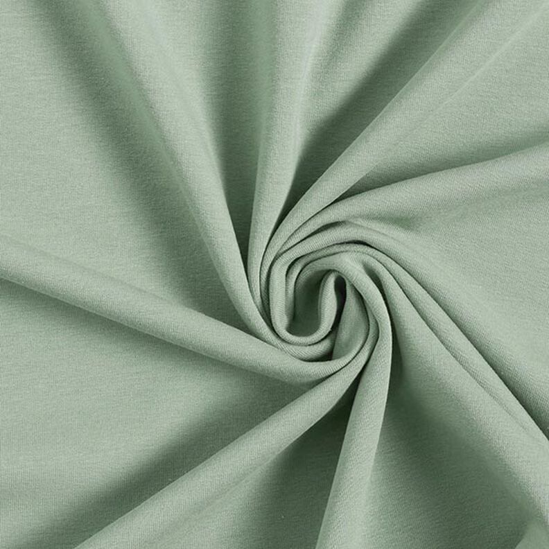 Light Cotton Sweatshirt Fabric Plain – reed, image number 1