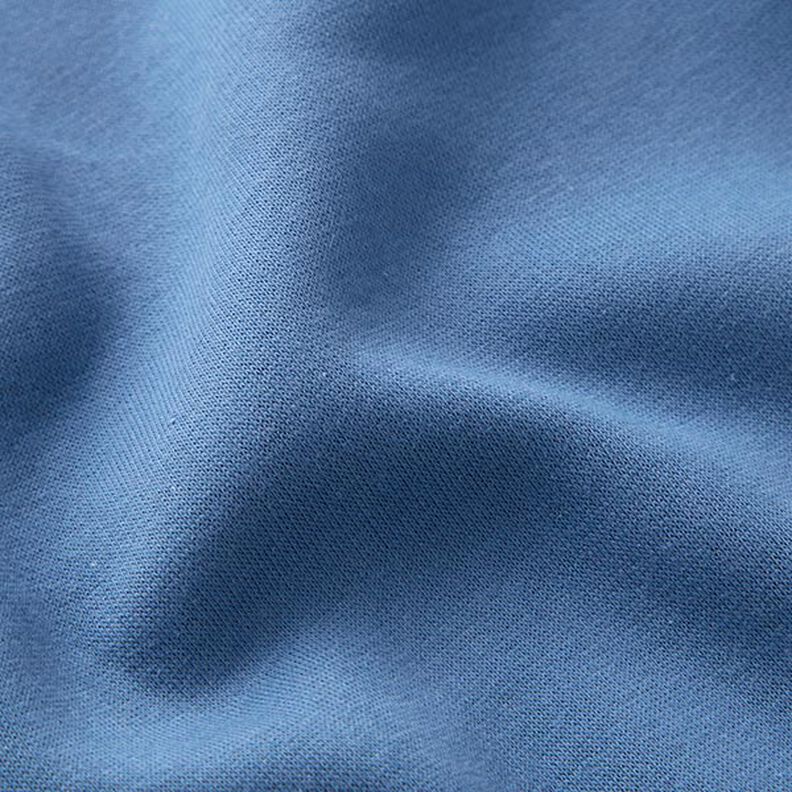 Brushed Sweatshirt Fabric – denim blue,  image number 3