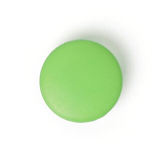 Plastic Button Friedrichsdorf 536, 