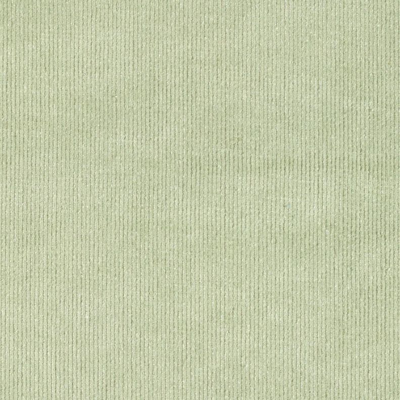 Stretchy fine corduroy – reed,  image number 4
