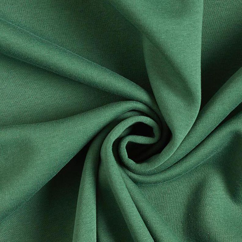 Brushed Sweatshirt Fabric – dark green,  image number 1
