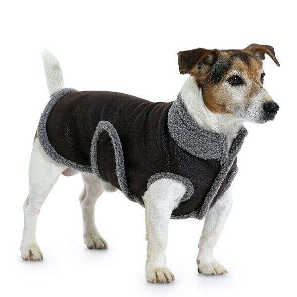 Dog Coat, Burda 7752,  image number 2