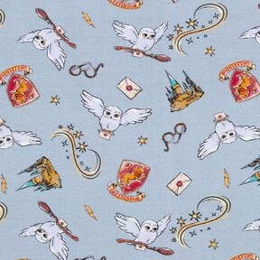 Cotton Jersey Harry Potter Wizarding World | Warner Bros. – light blue, 