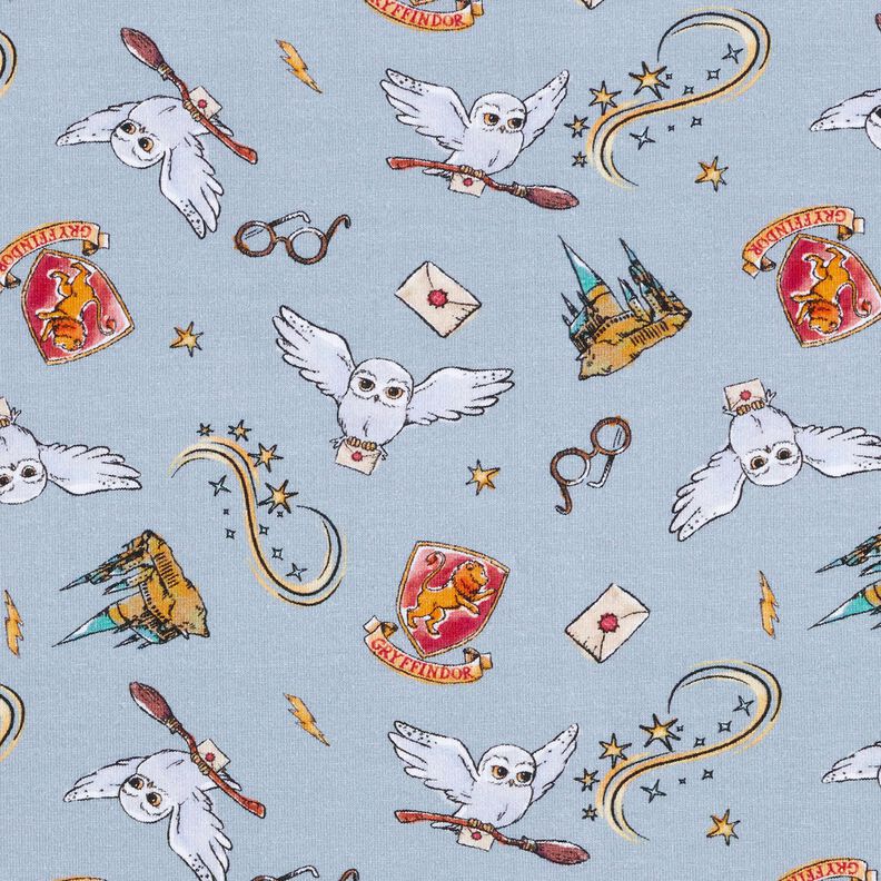 Cotton Jersey Harry Potter Wizarding World | Warner Bros. – light blue,  image number 1