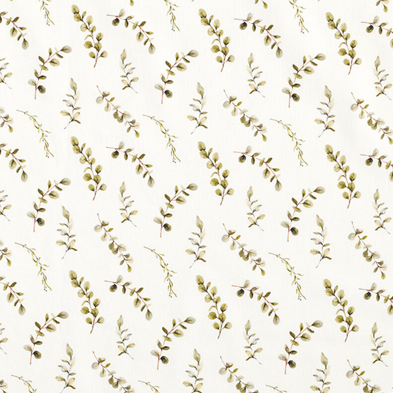 Cotton Jersey eucalyptus tendrils Digital Print  – offwhite,  image number 1