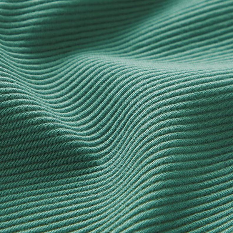 Ottoman ribbed jersey Plain – reed,  image number 3