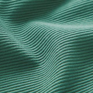 Ottoman ribbed jersey Plain – reed, 