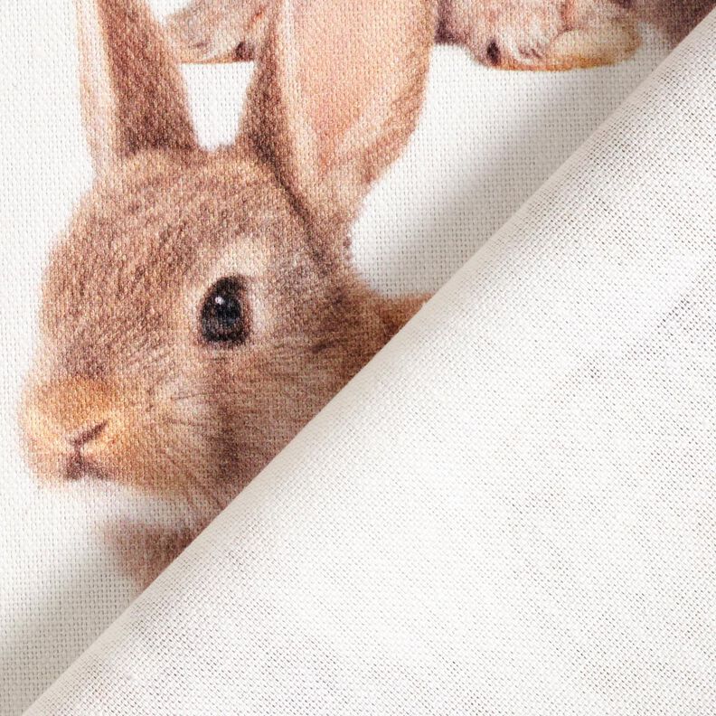 Decor Fabric Half Panama large rabbits – ivory/brown,  image number 4