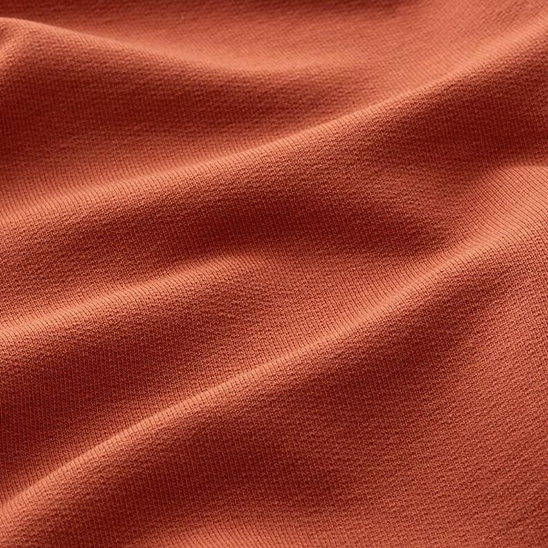 Light French Terry Plain – terracotta,  image number 4