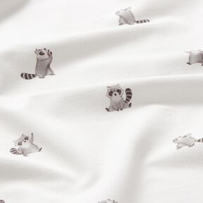 GOTS Cotton Jersey cute raccoons Digital Print – ivory, 