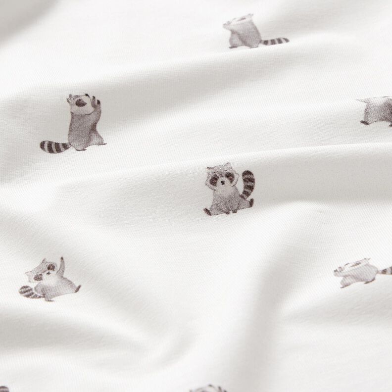 GOTS Cotton Jersey cute raccoons Digital Print – ivory, image number 2