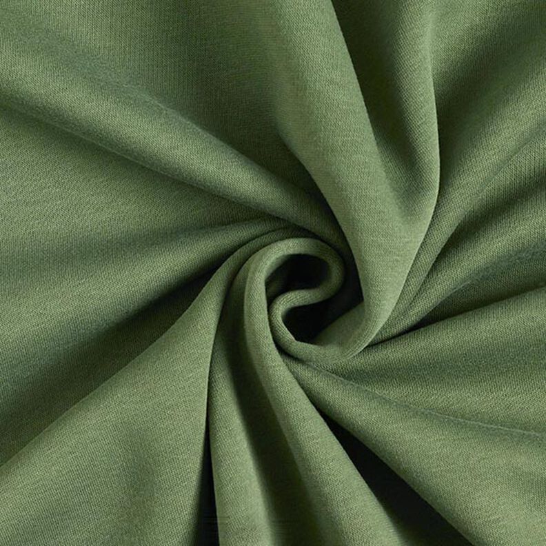 Brushed Sweatshirt Fabric – olive,  image number 1