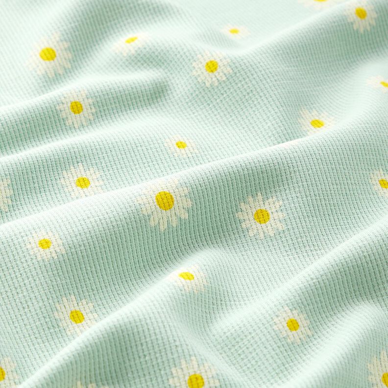 Waffle Jersey Ox-eye daisies – pale mint, image number 2