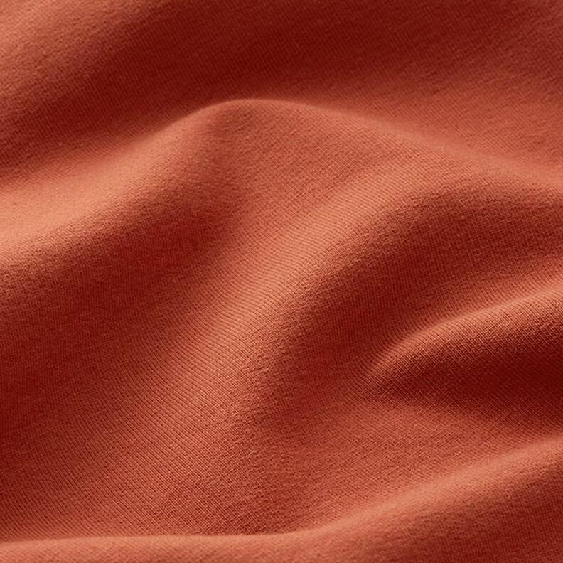 Light Cotton Sweatshirt Fabric Plain – terracotta,  image number 4