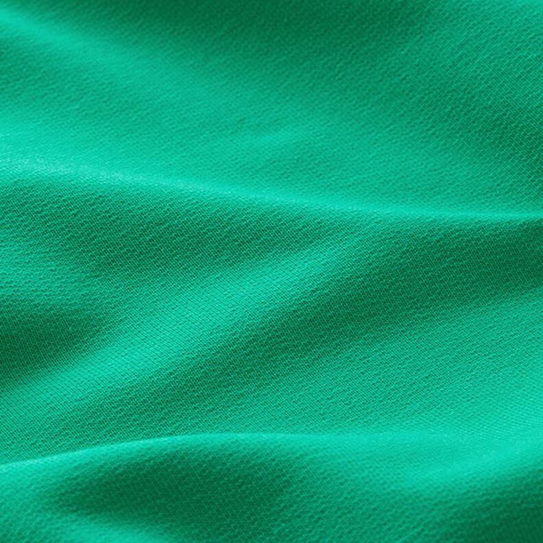 Light French Terry Plain – green, image number 4