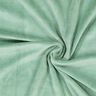Plain Nicky Velour – mint,  thumbnail number 1